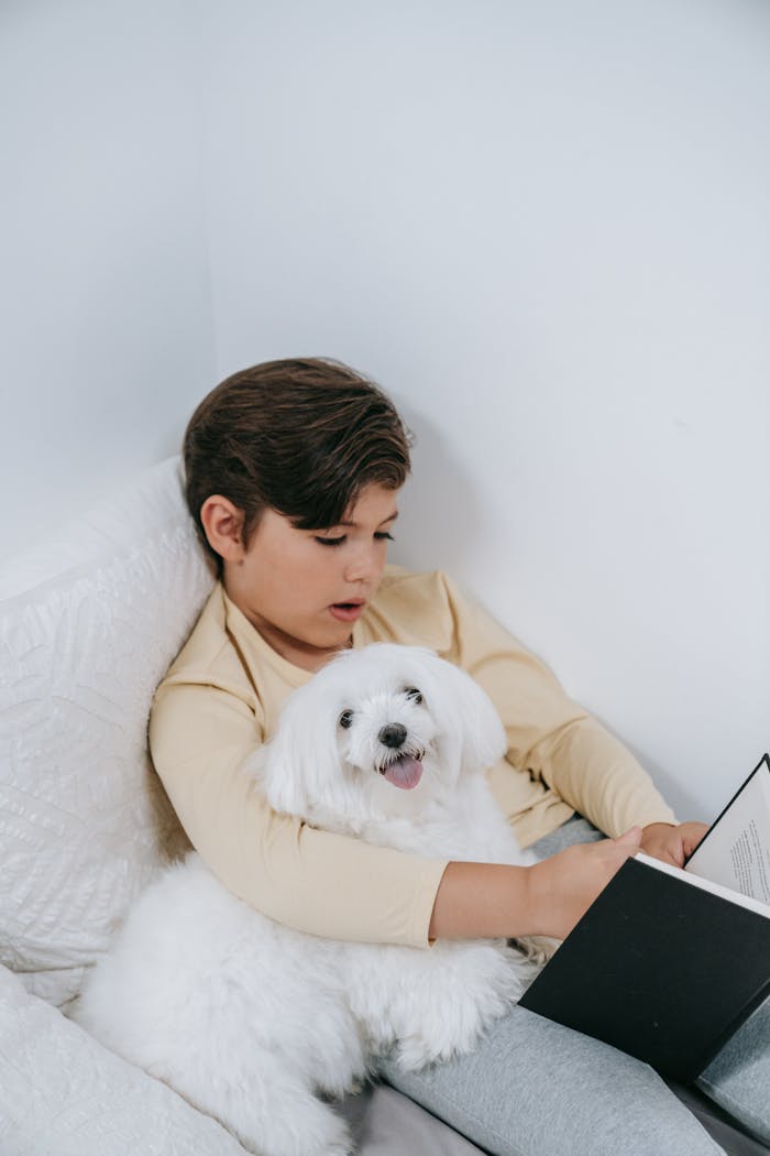 About A young boy reads a book with a fluffy white dog on a cozy sofa.