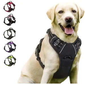 dog collars harness big vests leash pet shop everything for dogs leather puppy accessories medium small set
