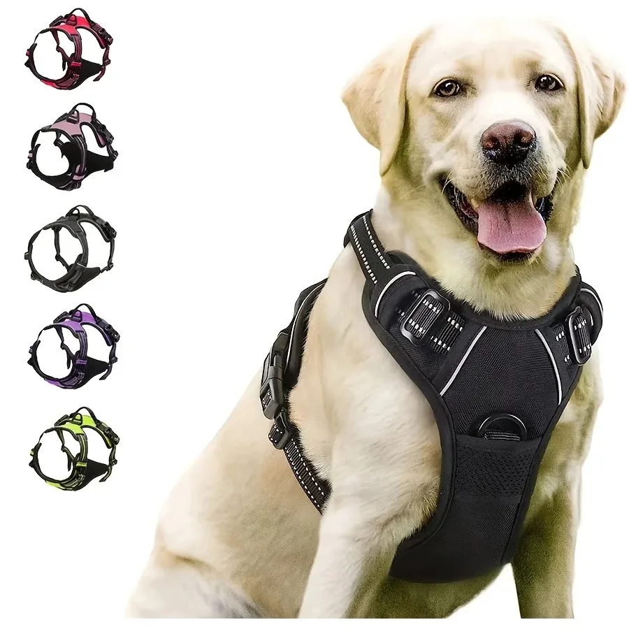 dog collars harness big vests leash pet shop everything for dogs leather puppy accessories medium small set dog collars harness big vests leash pet shop everything for dogs leather puppy accessories medium small set