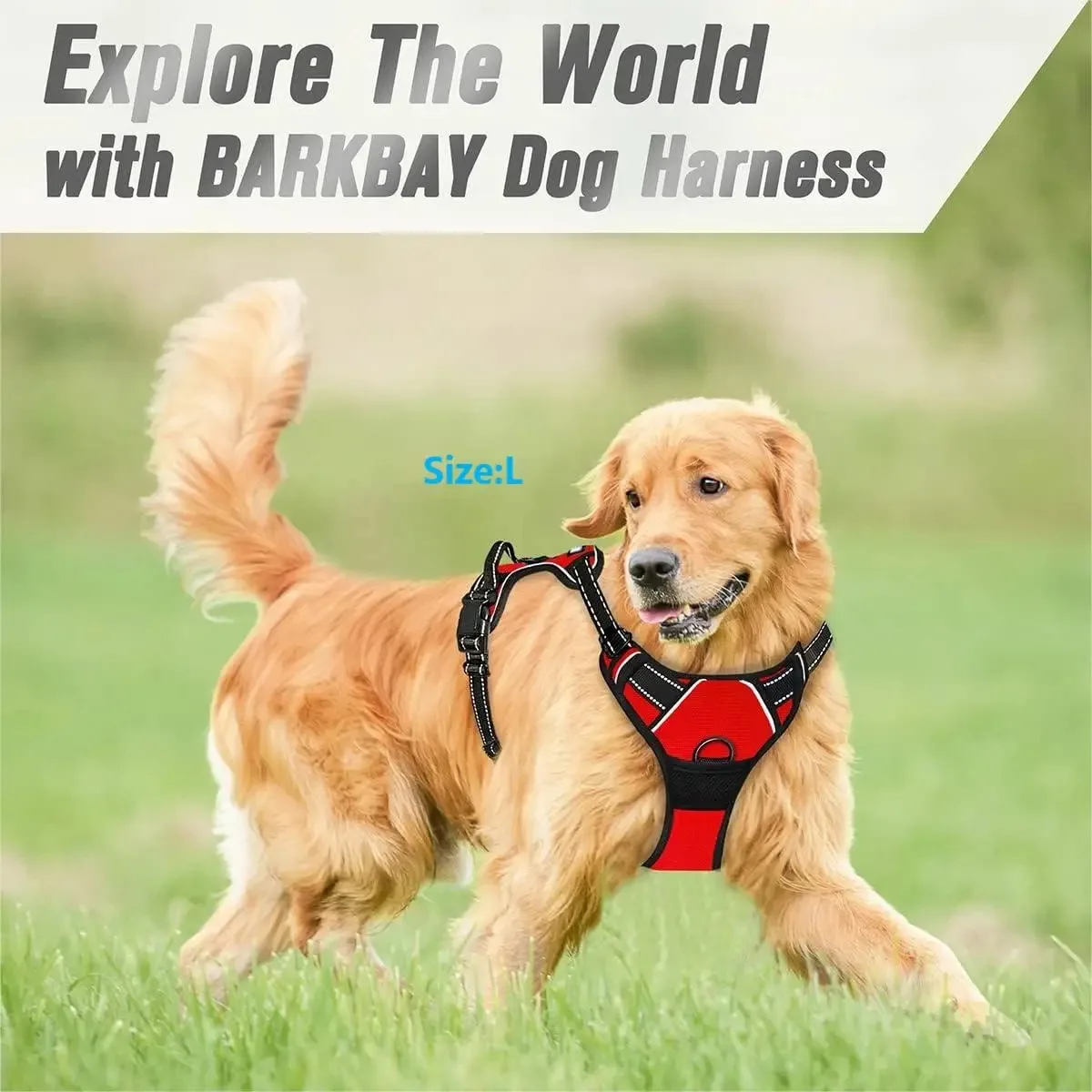dog collars harness big vests leash pet shop everything for dogs leather puppy accessories medium small set dog collars harness big vests leash pet shop everything for dogs leather puppy accessories medium small set