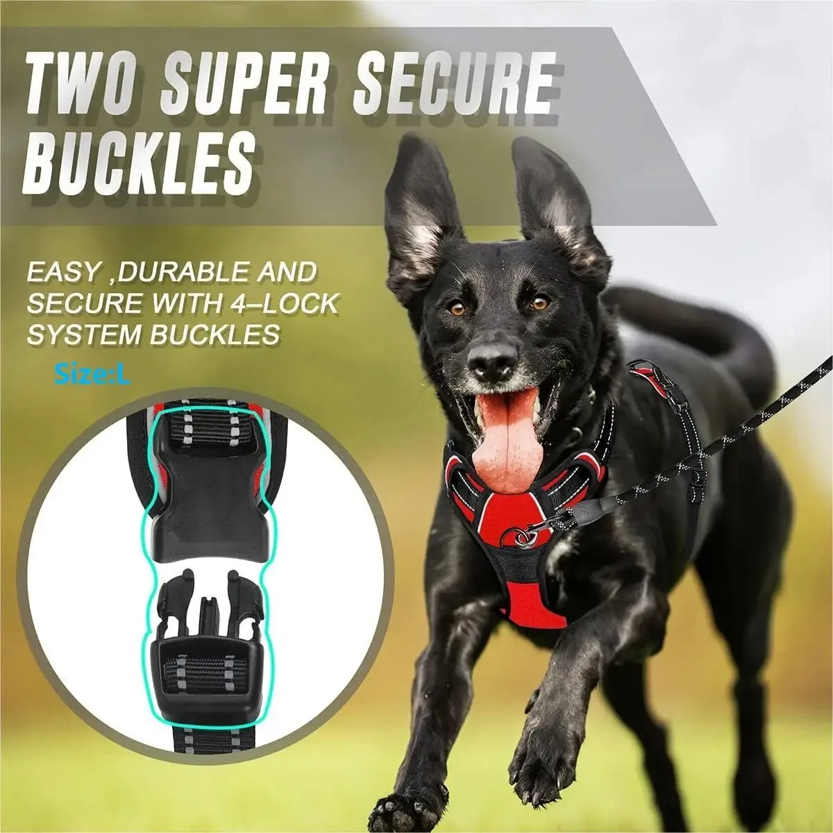dog collars harness big vests leash pet shop everything for dogs leather puppy accessories medium small set dog collars harness big vests leash pet shop everything for dogs leather puppy accessories medium small set