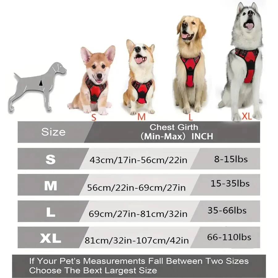 dog collars harness big vests leash pet shop everything for dogs leather puppy accessories medium small set dog collars harness big vests leash pet shop everything for dogs leather puppy accessories medium small set