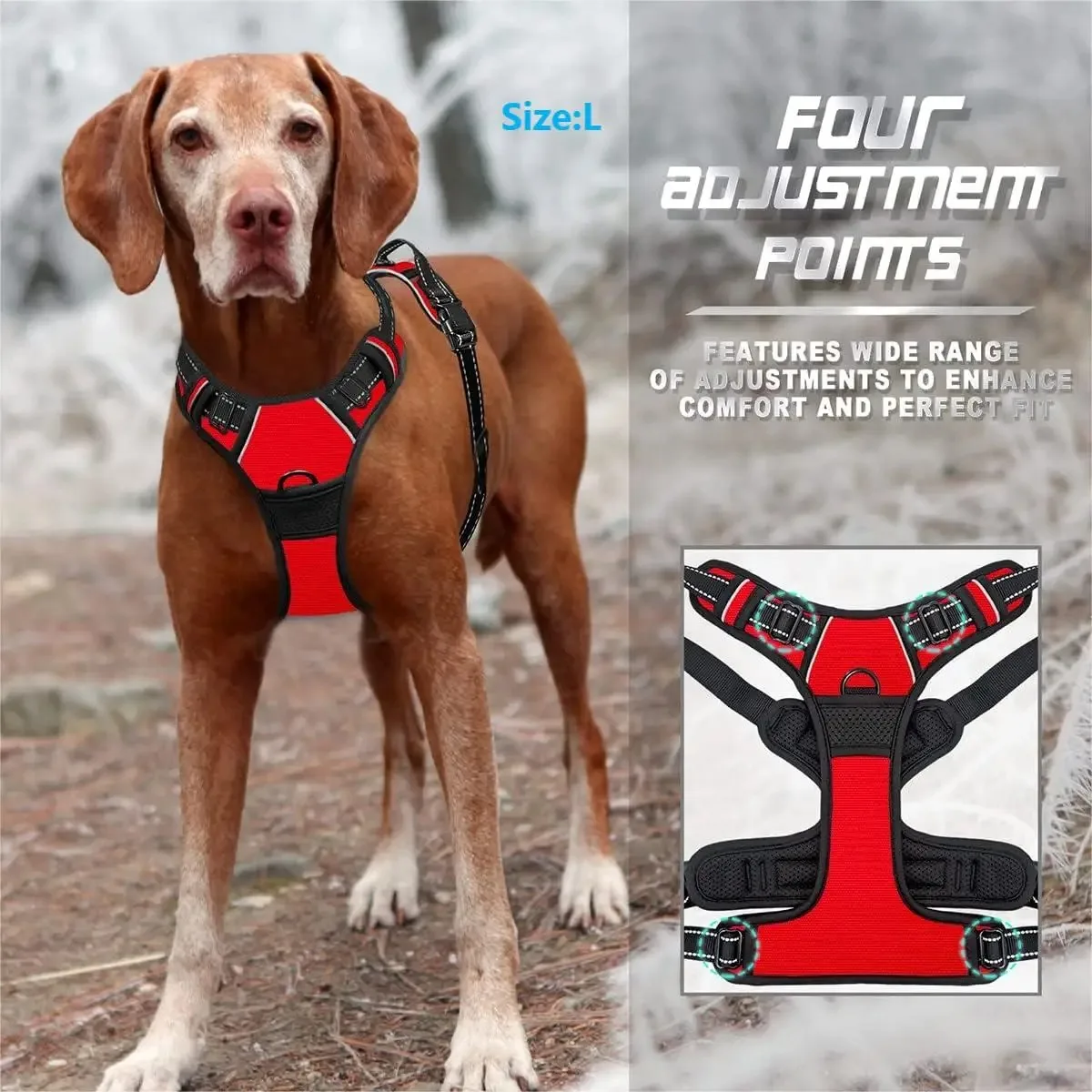 dog collars harness big vests leash pet shop everything for dogs leather puppy accessories medium small set dog collars harness big vests leash pet shop everything for dogs leather puppy accessories medium small set