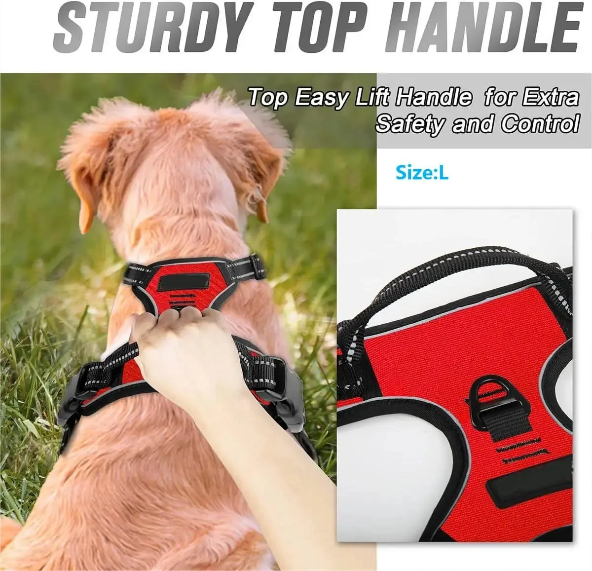 dog collars harness big vests leash pet shop everything for dogs leather puppy accessories medium small set dog collars harness big vests leash pet shop everything for dogs leather puppy accessories medium small set
